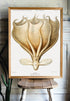 framed octopus print wall art